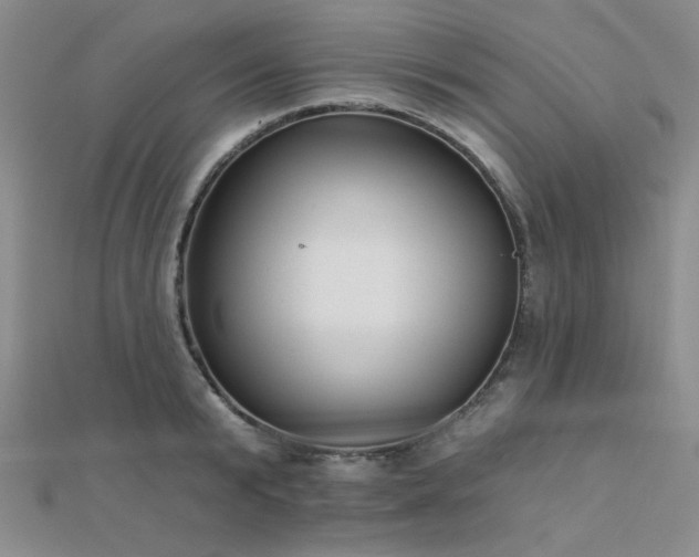 X0000112180799200908071325