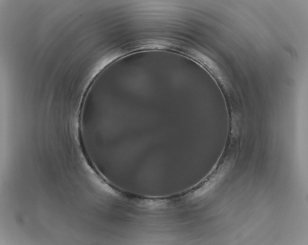 X0000112180802200908071325