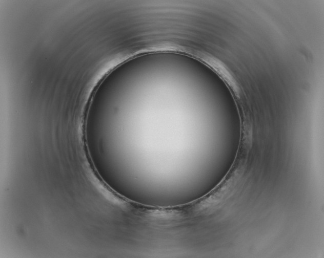 X0000112180805200908071325