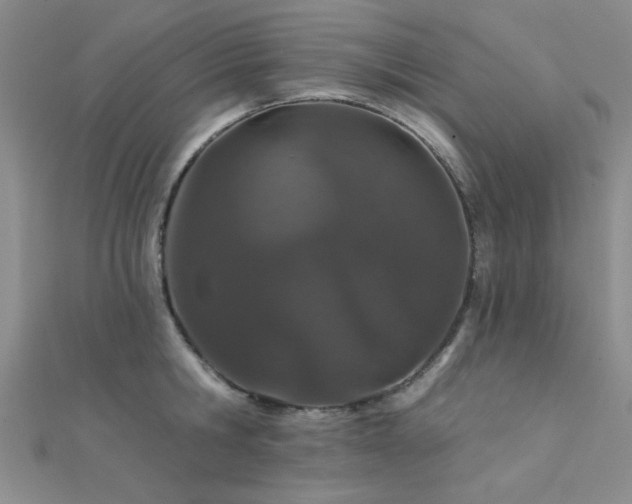 X0000112180806200908071325