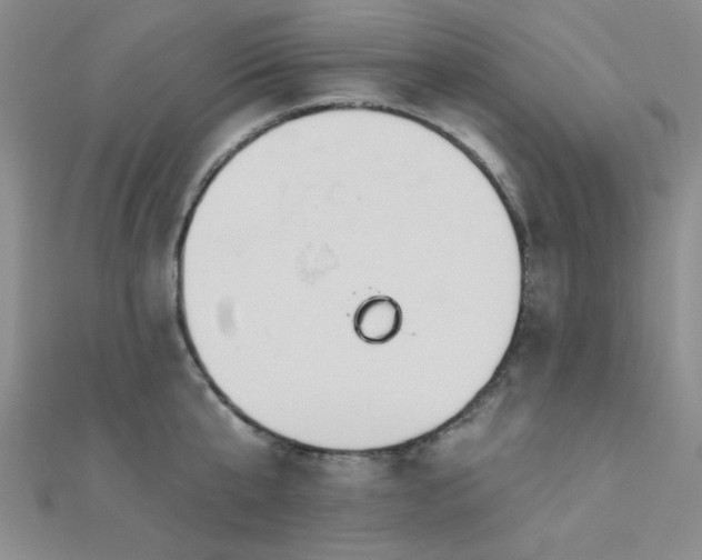 X0000112180807200908071325