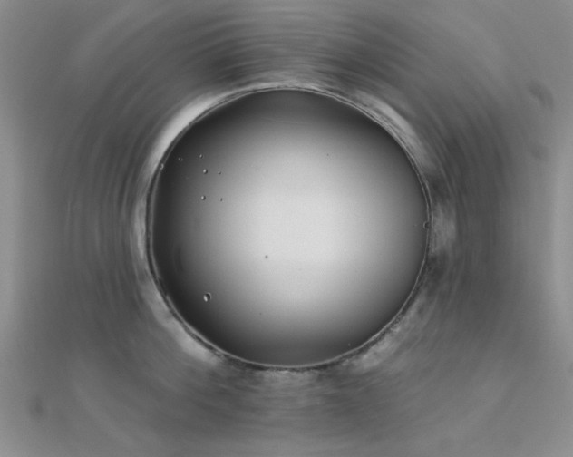 X0000112180812200908071325