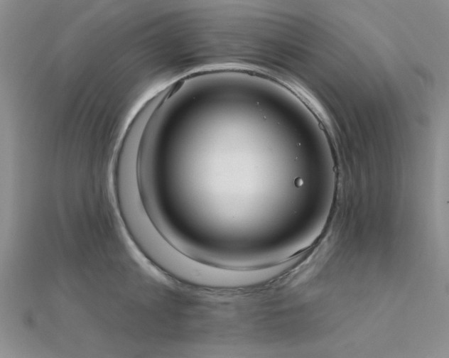 X0000112180813200908071325