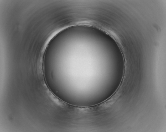 X0000112180816200908071325