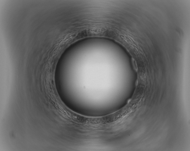 X0000112180817200908071324