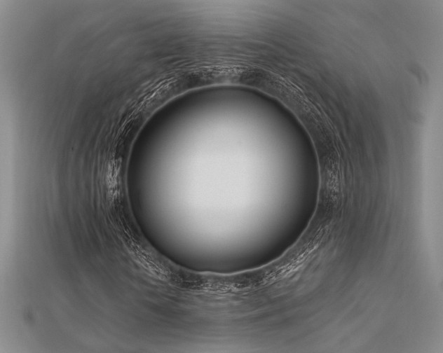 X0000112180818200908071324