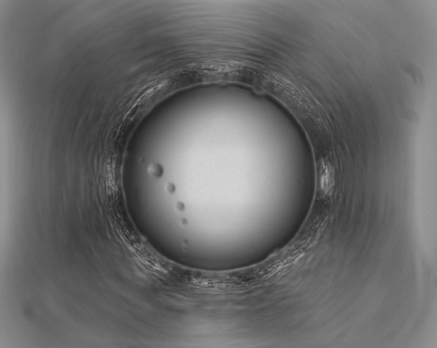 X0000112180819200908071324