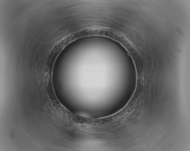 X0000112180821200908071324