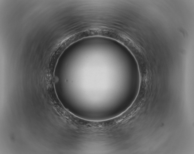 X0000112180822200908071324