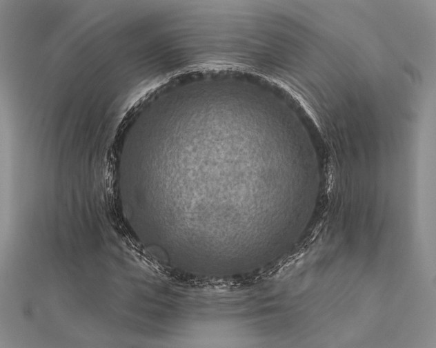 X0000112180823200908071324