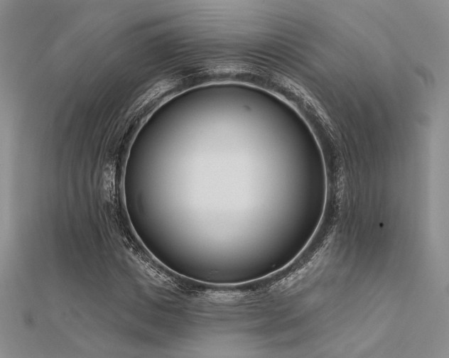 X0000112180825200908071324