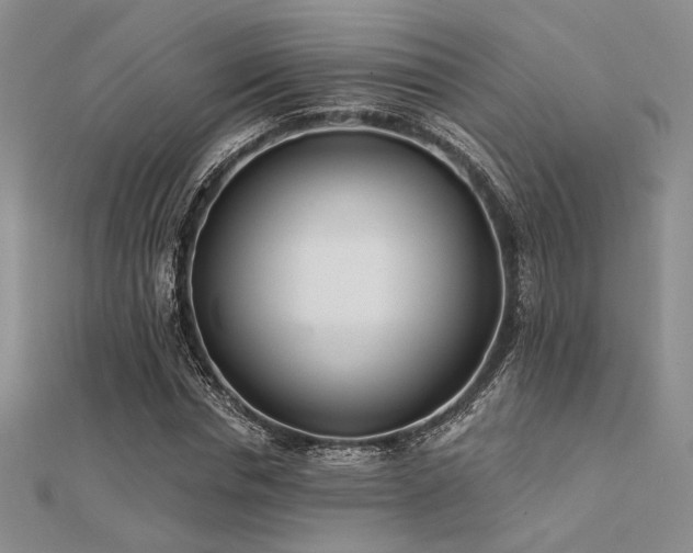 X0000112180826200908071324