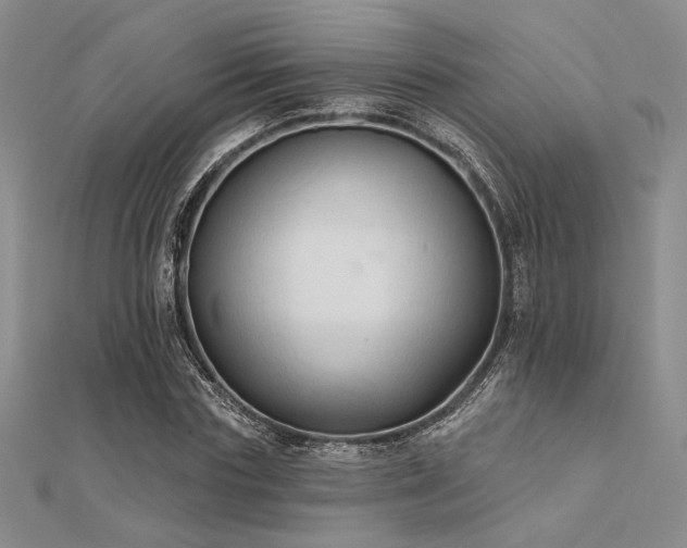 X0000112180827200908071324