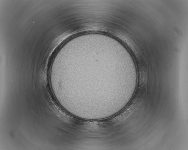 X0000112180828200908071324