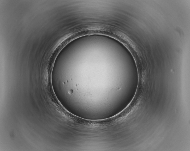 X0000112180829200908071324