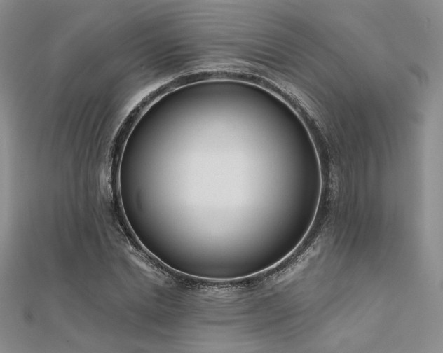 X0000112180830200908071324