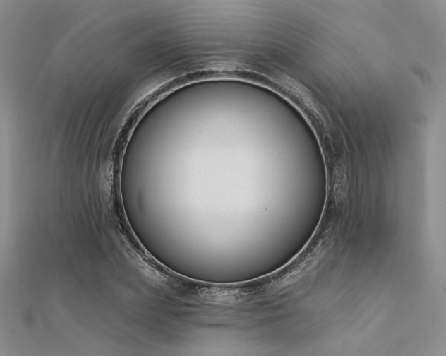 X0000112180831200908071324