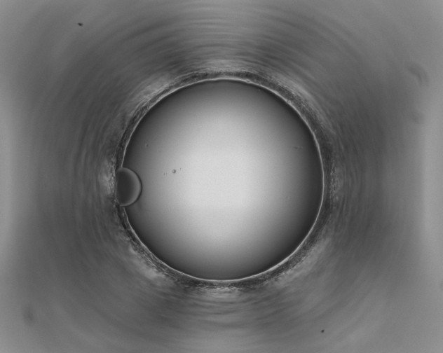 X0000112180833200908071324