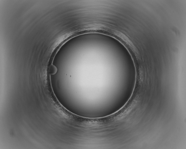 X0000112180834200908071324