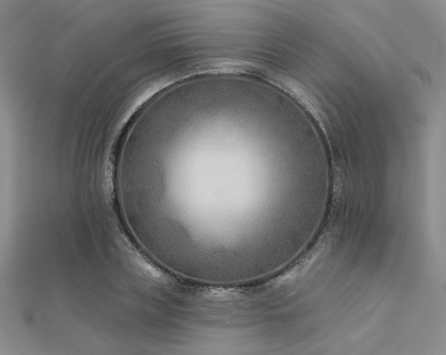 X0000112180835200908071324