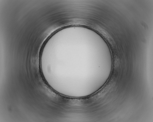 X0000112180836200908071324