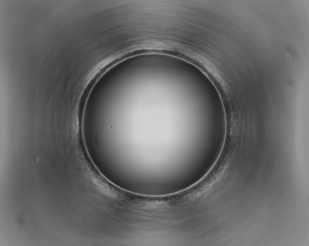 X0000112180837200908071324