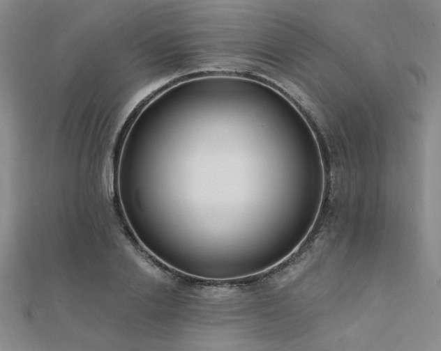 X0000112180838200908071324