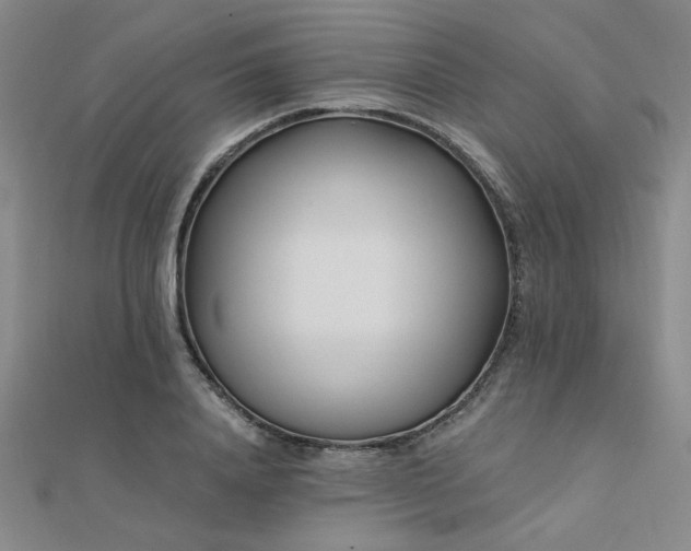 X0000112180840200908071324