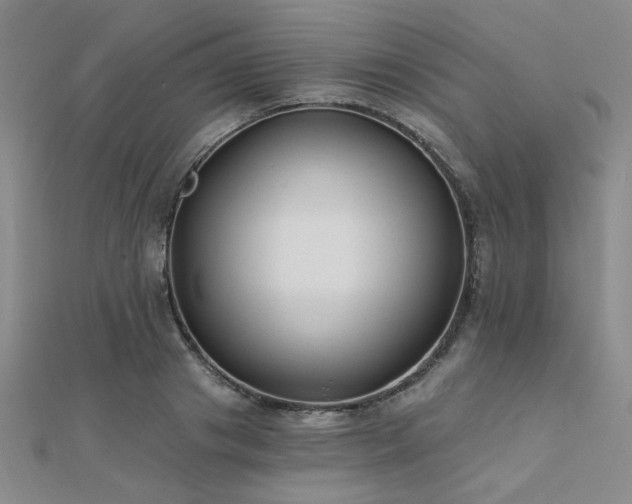 X0000112180841200908071324