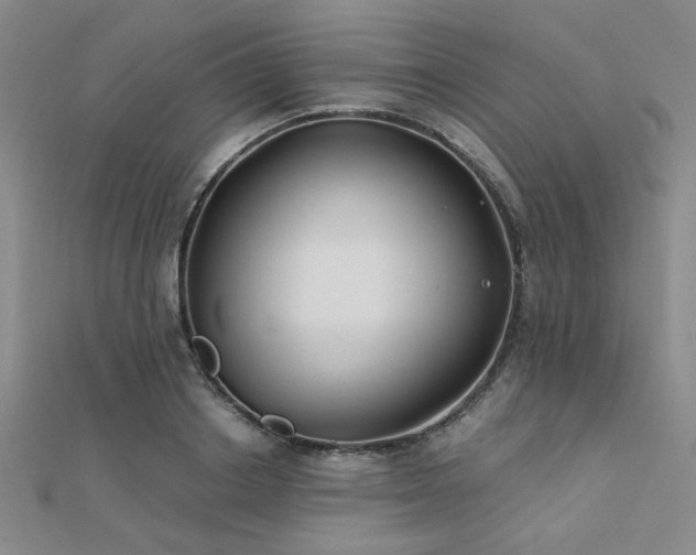 X0000112180842200908071324