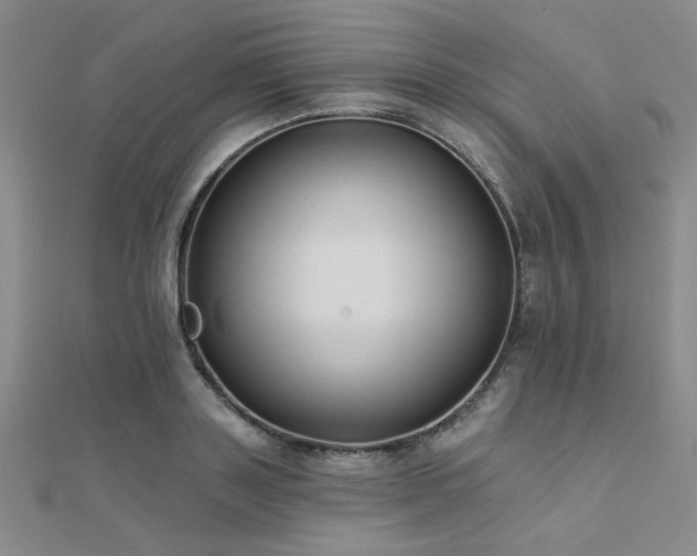 X0000112180843200908071324