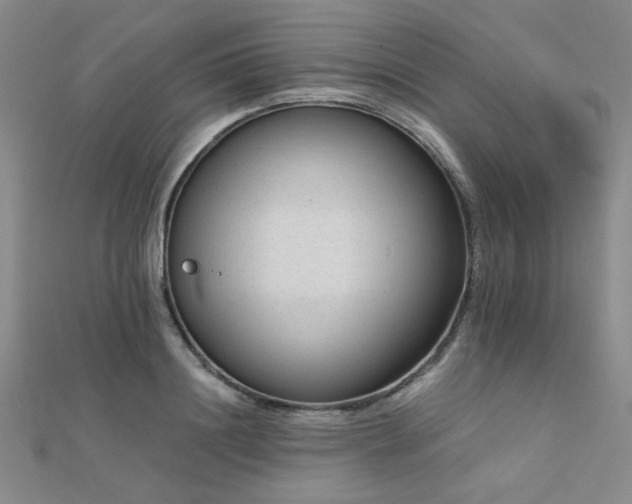 X0000112180844200908071324