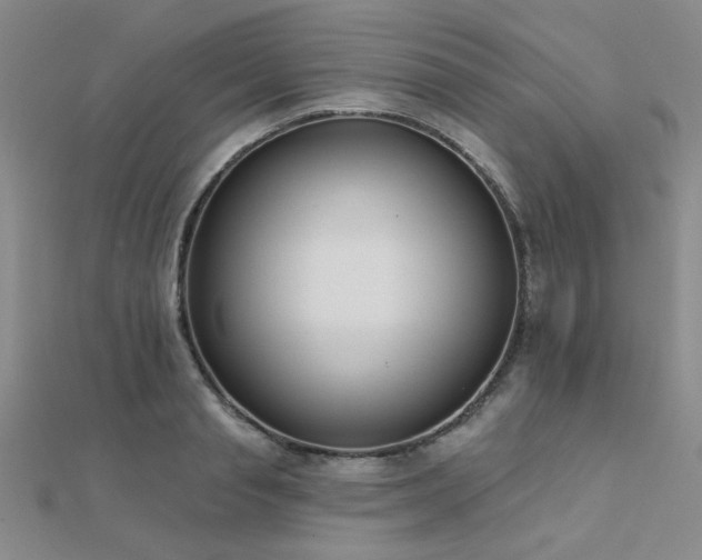 X0000112180845200908071324