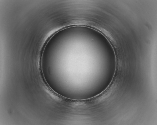 X0000112180846200908071324