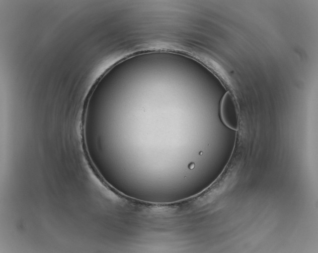 X0000112180847200908071324