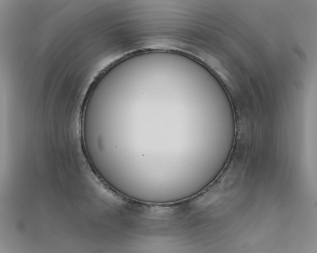 X0000112180848200908071324