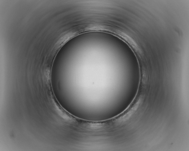 X0000112180849200908071324