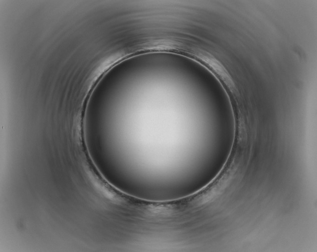 X0000112180850200908071324