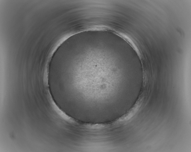 X0000112180851200908071324