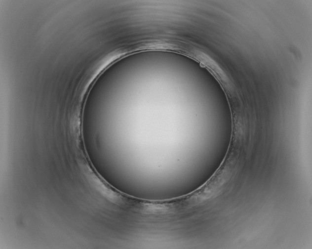 X0000112180852200908071324