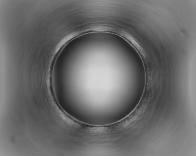 X0000112180853200908071324