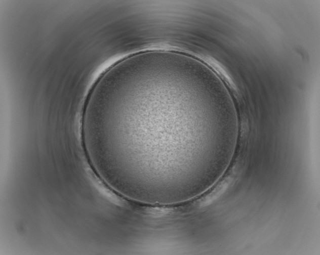 X0000112180854200908071324