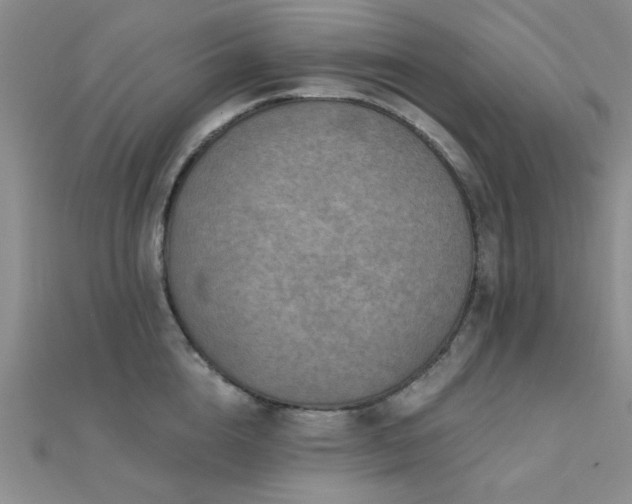 X0000112180856200908071325