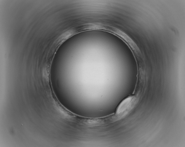 X0000112180857200908071325