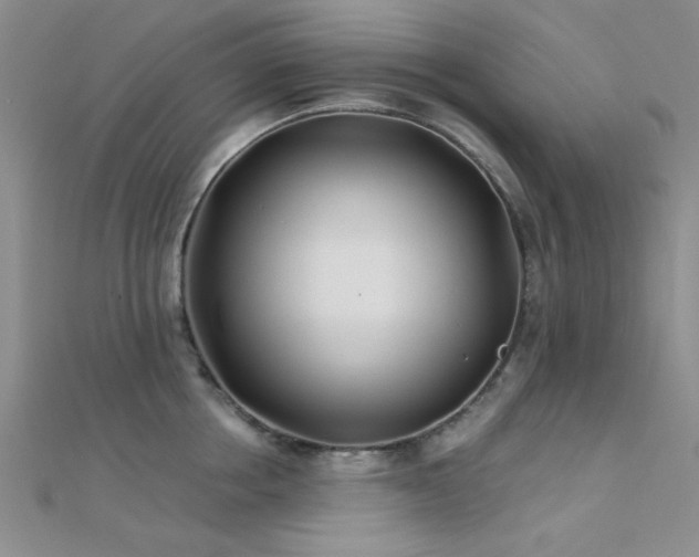 X0000112180858200908071325