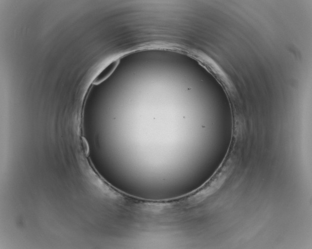 X0000112180860200908071325