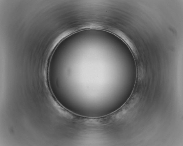 X0000112180861200908071325