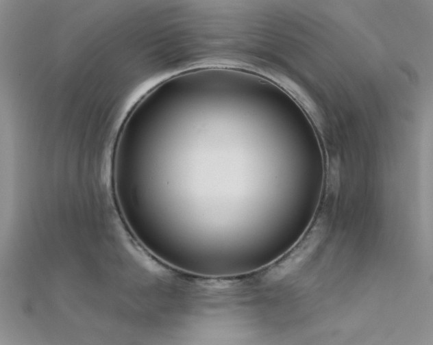 X0000112180862200908071325