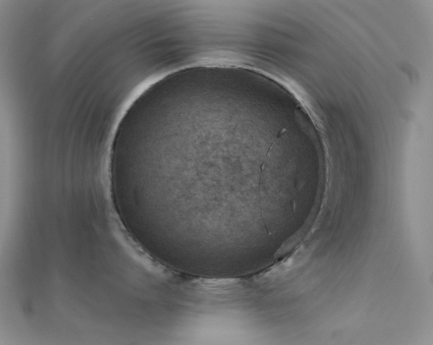 X0000112180864200908071325