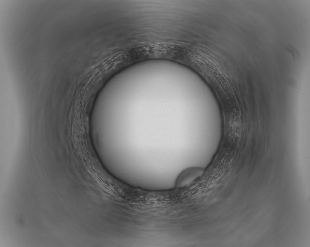 X0000112180865200908071324